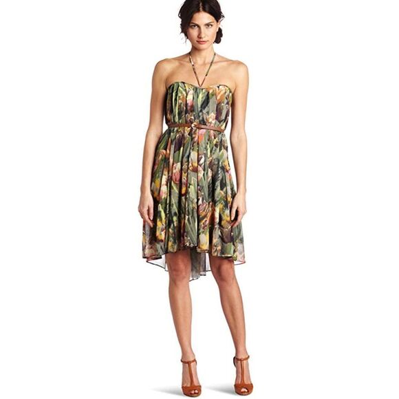 Ted Baker Green Floral Trapeze Dress Sz 4 - Picture 1 of 9
